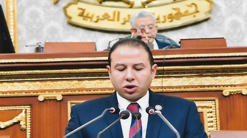 النائب حسن عمار 