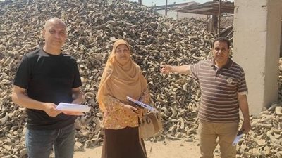 زراعة المنوفية تكثف جهودها لتعزيز جودة الأعلاف وحماية الثروة الحيوانية