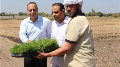 زراعة مشتهر .. تدشن موسم الأرز بالمزرعة البحثية لرفع كفاءة الإنتاج المحلي