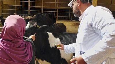 رئيس الهيئة العامة للخدمات البيطرية: استمرار تنفيذ القوافل البيطرية المجانية بمختلف المحافظات