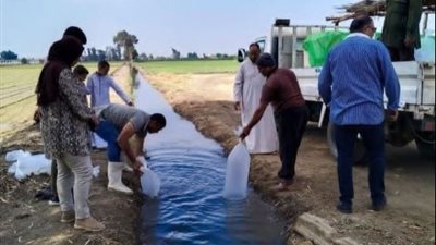 البلطي يغزو مياه الشرقية.. إطلاق 600 ألف زريعة أسماك لدعم الإنتاج وتحسين دخل الصيادين