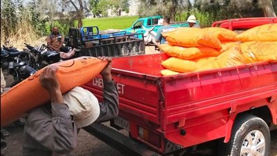 زراعة الدقهلية في جولة ميدانية بشربين.. متابعة الحصر الزراعي وصرف الأسمدة بمجمعات حياة كريمة