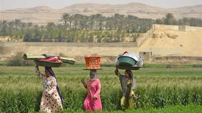 «القرية المنتجة».. خطة حكومية لتحويل أصول الدولة غير المستغلة إلى مراكز إنتاجية
