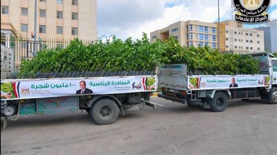 200 ألف شجرة جديدة تزين المحافظات.. الحكومة تنهي المرحلة الرابعة من مبادرة 100 مليون شجرة