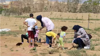 نويبع تتجمل بالأخضر.. زراعة 500 شجرة مثمرة وزينة للحفاظ على المظهر الحضاري والبيئي