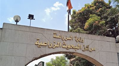 دعم 105 شركات ناشئة و350 مبتكرًا ضمن مشروع وطني لتطوير الزراعة المصرية