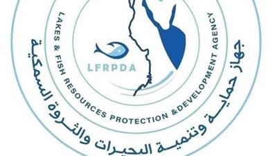 زراعة الأسماك في حقول الأرز.. مشروع قومي لتعزيز الأمن الغذائي