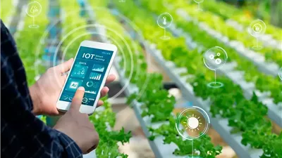 مصر تستعد لإطلاق “AGRITECH Egypt 2026” أكبر ملتقى للزراعة الذكية والتكنولوجيا المستدامة