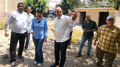 القليوبية تبحث التوسع في عمليات تعقيم الكلاب الحرة تنفيذًا لاستراتيجية مصر الخالية من السعار 2030