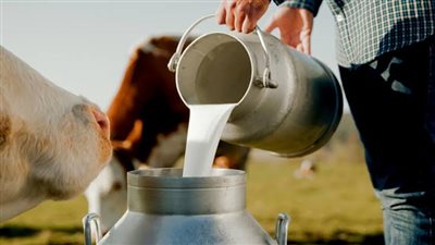 دراسة تكشف تراجع إنتاج الألبان بسبب ارتفاع درجات الحراراة
