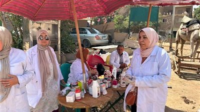 الزراعة تعلن تحصين 2.1 مليون رأس ماشية ضد الجلد العقدي وجدري الأغنام بالمحافظات