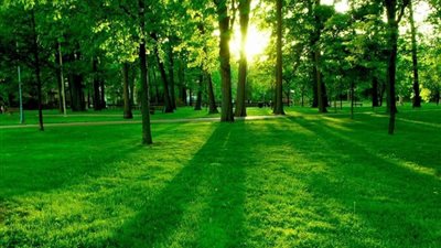 دراسة تكشف عن حل طبيعي يواجه ارتفاع درجات الحرارة
