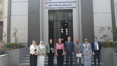 إنجاز جديد لـ الصحة الحيوانية.. اعتماد مركز التدريب رسميًا للتعليم الطبي المستمر وإقرار 3 برامج متخصصة