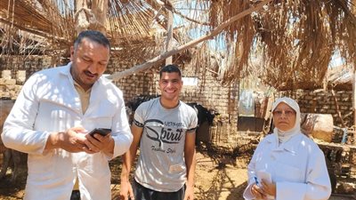 الطب البيطري بالسويس يجري اختبارات السل والبروسيللا للحيوانات بقرية عامر