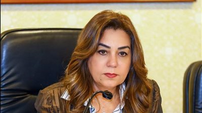 وزيرة التنمية تتابع حملات الرقابة بالجيزة.. تشميع محال مخالفة وإزالة تعديات وضبط لحوم غير صالحة للاستهلاك