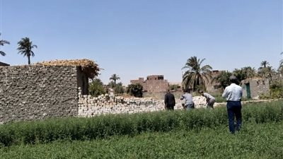بداية حاسمة للموجة 29.. أسيوط تزيل 21 حالة تعدٍ على الأراضي الزراعية والمتغيرات المكانية