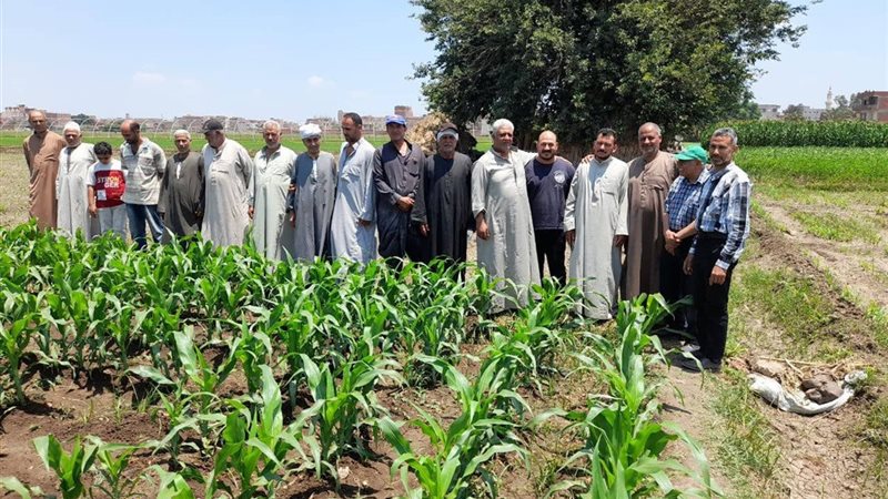 زراعة الغربية