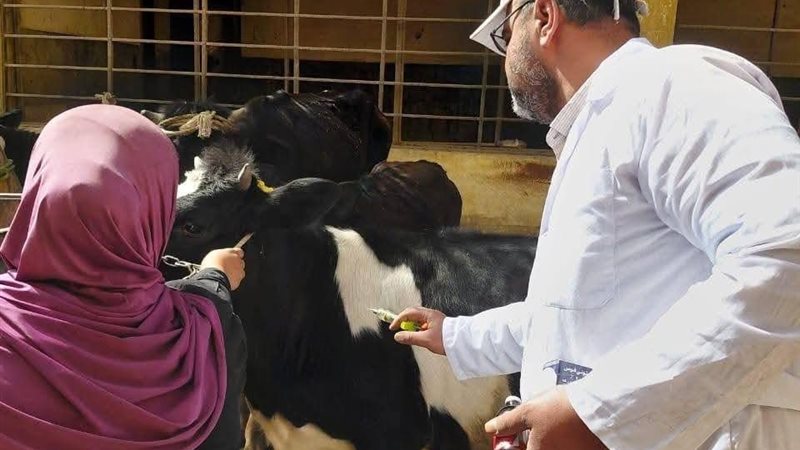 رئيس الهيئة العامة