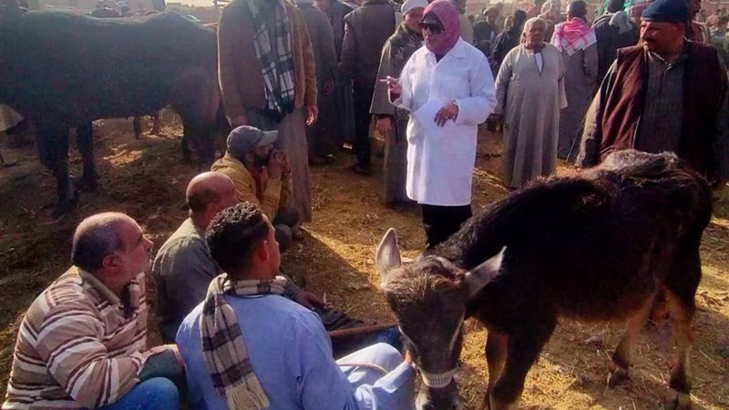 أرضك