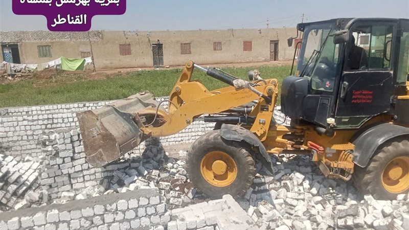 زراعة الجيزة تتصدى