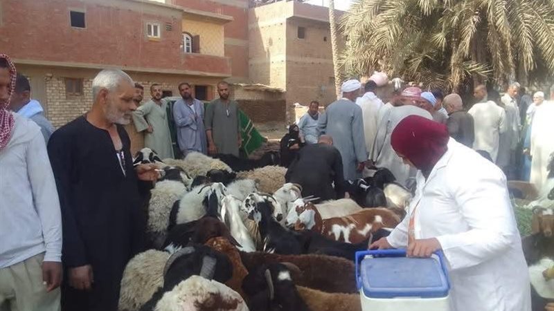 جانب من التحصين 