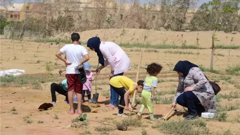 حملة شجرها 