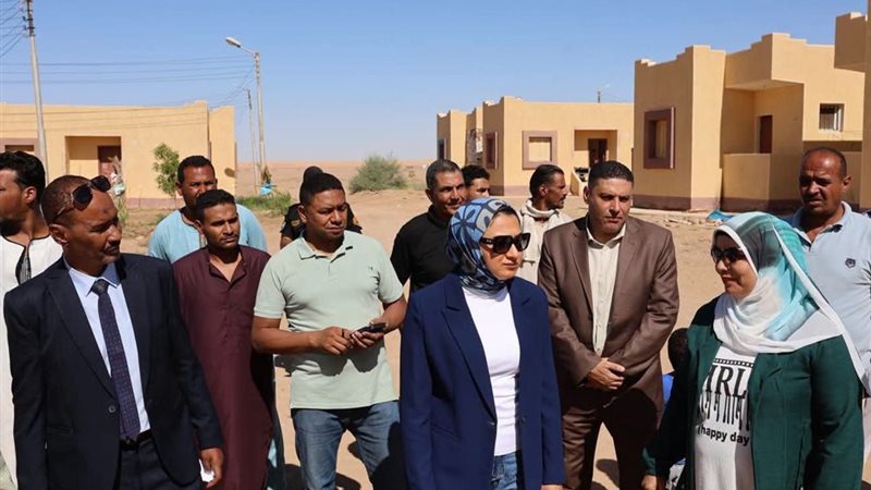 محافظ الوادي الجديد