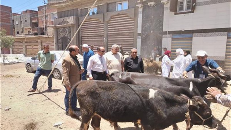 محافظ الدقهلية يتابع