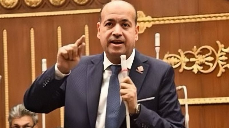 النائب أحمد سيد 
