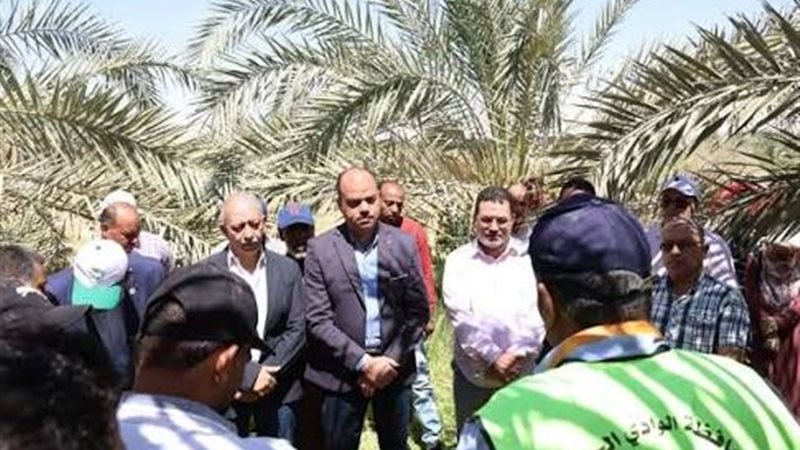 نائب محافظ الوادي