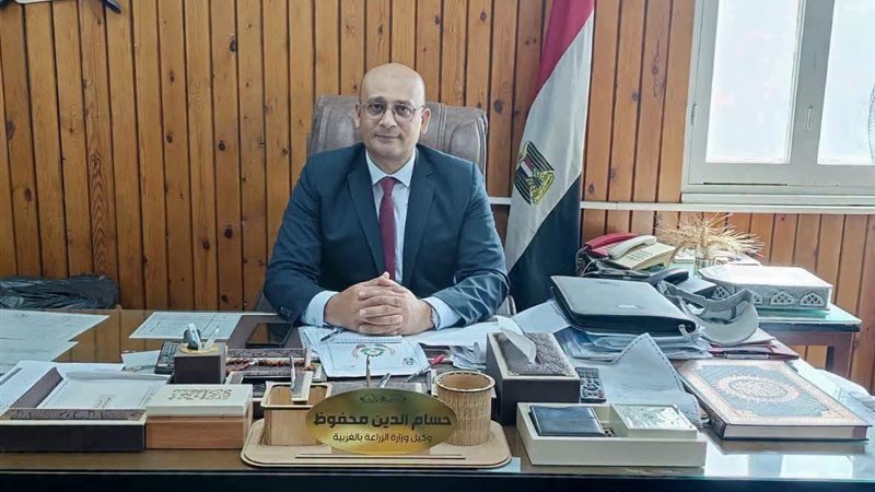 إزالة فورية لهناجر