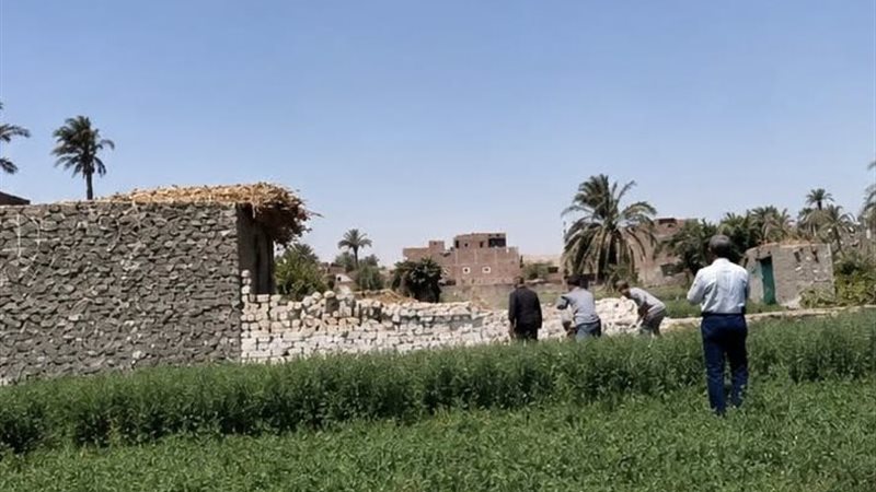 زراعة أسيوط 