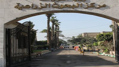الإنتاج الحيواني يطلق ورشة عمل حول تطبيقات الذكاء الاصطناعي في البحث العلمي