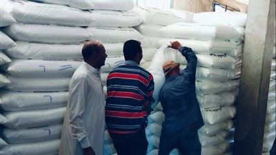 زراعة كفر الشيخ تكثف الرقابة خلال الإجازات.. صرف الأسمدة للمزارعين ومتابعة ميدانية للمحاصيل