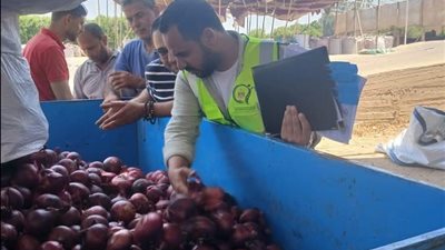 سلامة الغذاء ترفع درجة الاستعداد خلال الإجازات.. رقابة مكثفة لتسريع تصدير الحاصلات الزراعية المصرية