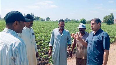 جولة ميدانية لوكيل زراعة كفر الشيخ لمتابعة المحاصيل وتيسير خدمات المزارعين