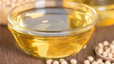 الزراعة تنفذ خطة استراتيجية لمضاعفة إنتاج تقاوي فول الصويا وتوفير فاتورة الاستيراد
