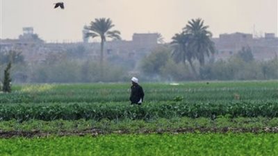فهيم يحذر من موجة حر شديدة: ارتفاع احتياجات المحاصيل المائية 20% وتحذيرات عاجلة للمزارعين