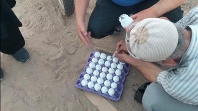 زراعة المنوفية تكثف مكافحة الثعابين بقويسنا ضمن خطة الوقاية الصيفية لحماية المواطنين