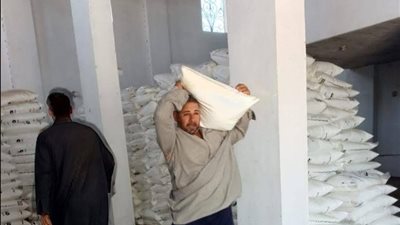 دعمًا للفلاح.. زراعة الدقهلية تواصل صرف الأسمدة المدعمة عبر 12 جمعية وتؤكد وصولها لمستحقيه