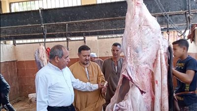 ضربة قوية للأسواق المخالفة.. ضبط قرابة طنين من اللحوم والدواجن غير الصالحة بأسيوط خلال يونيو