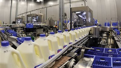 الزراعة: إنتاج مصر من الألبان يرتفع إلى 7 ملايين طن بنمو 8% خلال عام