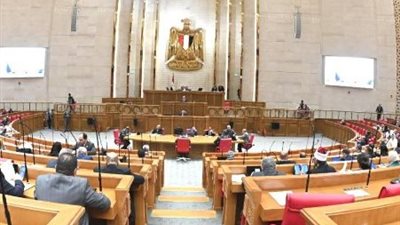 تحرك برلماني عاجل ضد الوقف العشوائي لبطاقات التموين.. ومطالب بإعادة الدعم للمتضررين