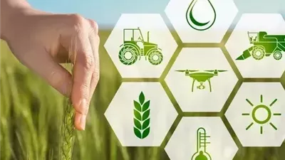 مركز المعلومات: الأنظمة الغذائية تتحول إلى اقتصاد عالمي بقيمة 6.8 تريليونات دولار