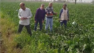 بين الرقمنة وحماية الأرض.. كيف نجحت زراعة الفيوم في إنهاء 83 حالة تعدٍ وإطلاق كارت الفلاح؟