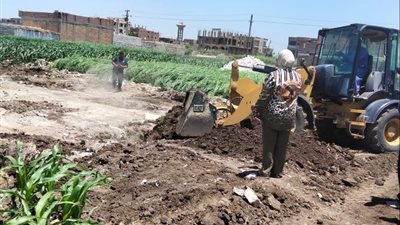 ضربات جديدة للمخالفين.. إزالة 20 حالة تعدٍ على الأراضي الزراعية والمتغيرات المكانية بأسيوط