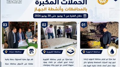 656 حملة و266 طن مضبوطات.. حماية المستهلك يكشف حصاد يونيو في ضبط الأسواق