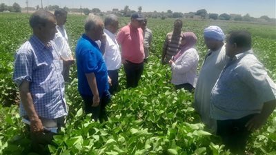 بتوجيهات وزير الزراعة.. رئيس قطاع الخدمات يتفقد 2000 فدان بالمنيا ويدفع بالتوسع في الري الحديث والطاقة الشمسية