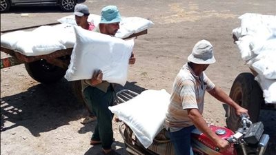 الزراعة تتابع انتظام صرف الأسمدة المدعمة للمزارعين بشربين للموسم الصيفي