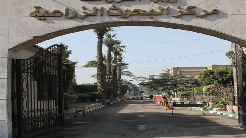 مركز البحوث الزراعية